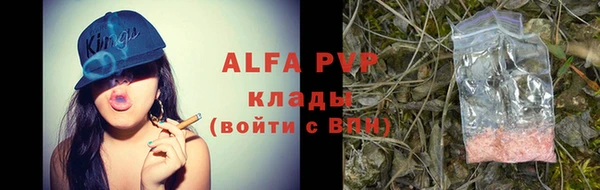 шишки Верея