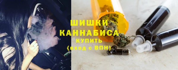 шишки Верея