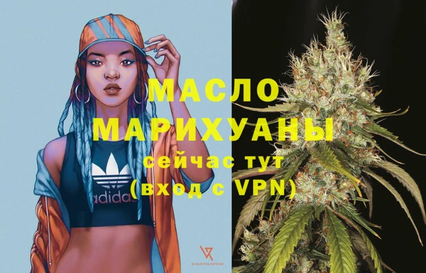 шишки Верея
