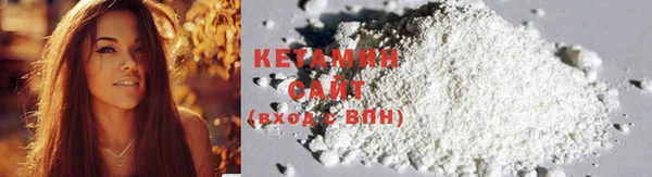 шишки Верея