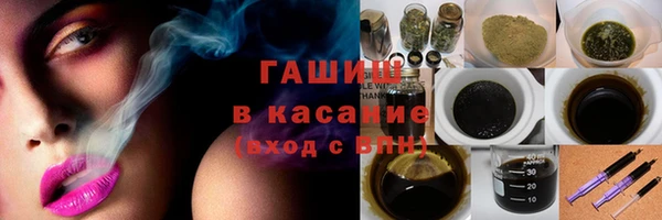шишки Верея