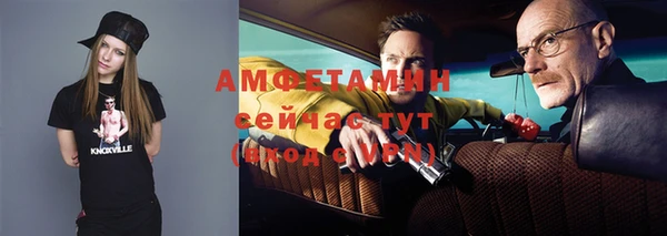 шишки Верея
