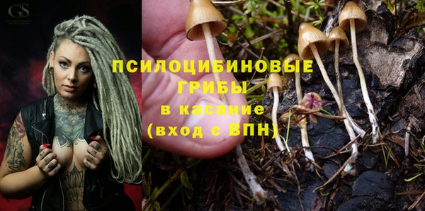 гидра Верхний Тагил