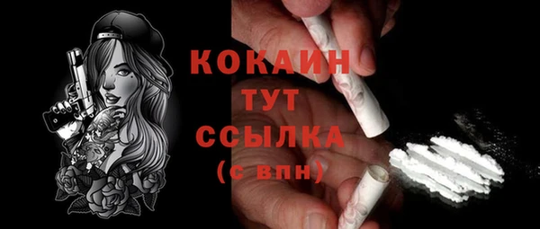 шишки Верея