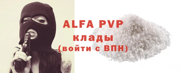 шишки Верея