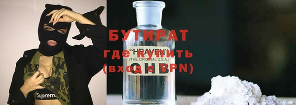 шишки Верея