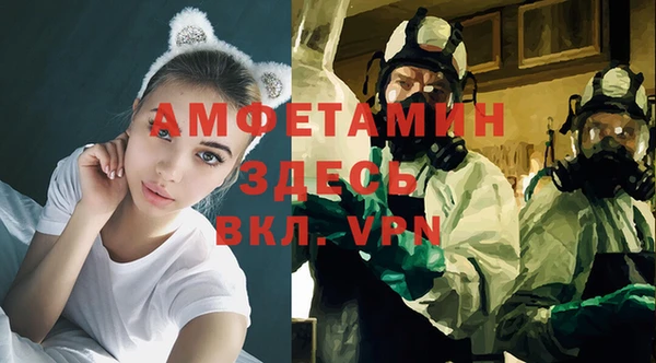 гидра Верхний Тагил