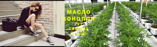 шишки Верея