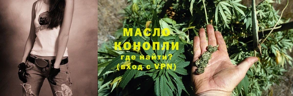 гидра Верхний Тагил