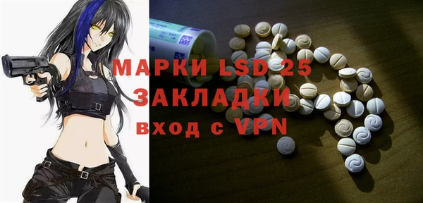 гидра Верхний Тагил