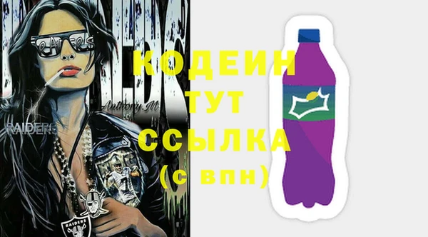 гидра Верхний Тагил