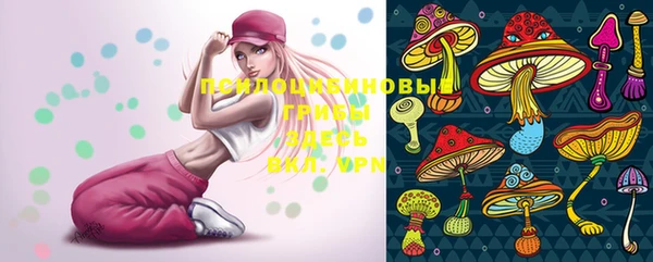шишки Верея