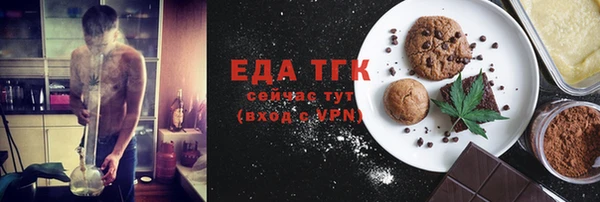 гидра Верхний Тагил