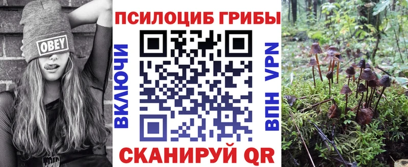 Псилоцибиновые грибы мухоморы закладки Северобайкальск