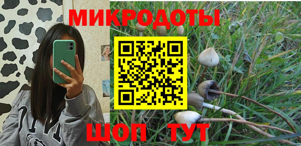 Северобайкальск  Галлюциногенные грибы Psilocybe  Вход с VPN 