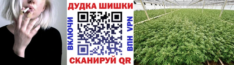 продажа наркотиков  Северобайкальск  Бошки Шишки SATIVA & INDICA 